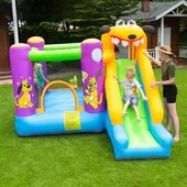 טירה קופצנית עם כלב